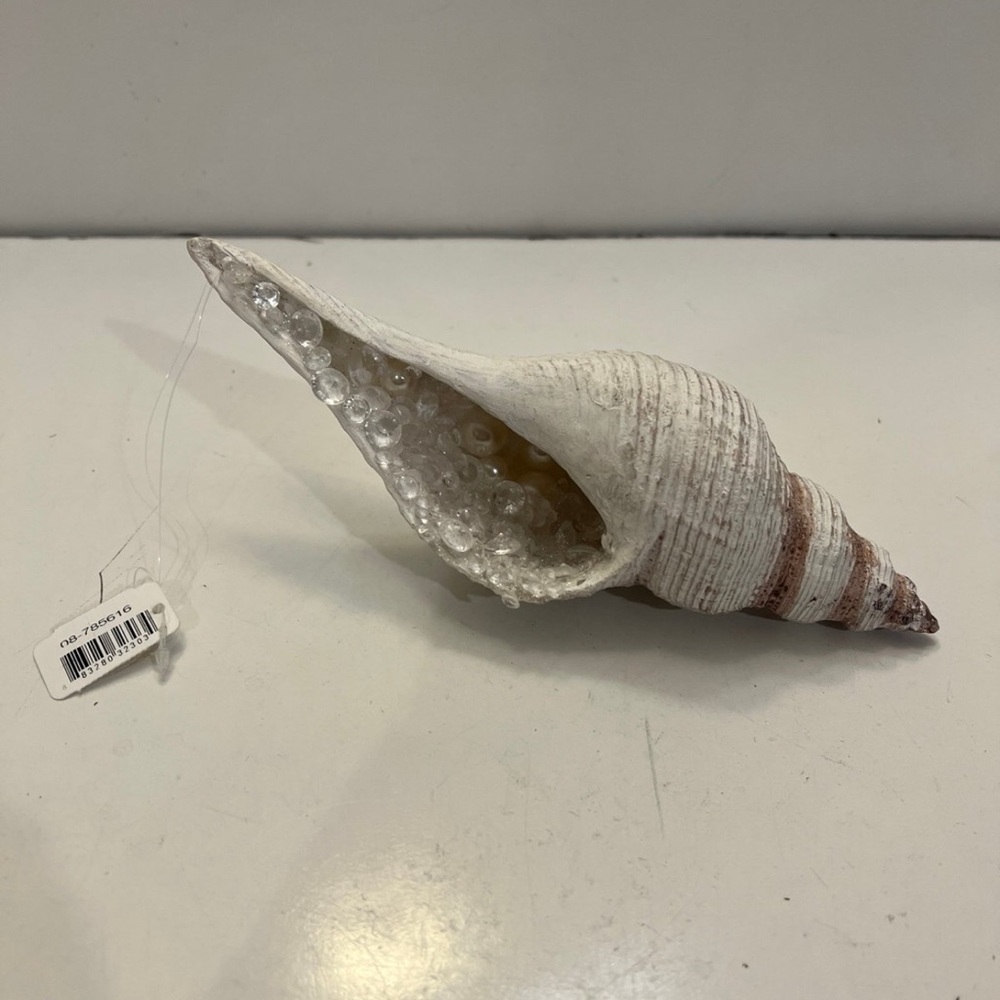 Fake white seashell with gems inside new home decor